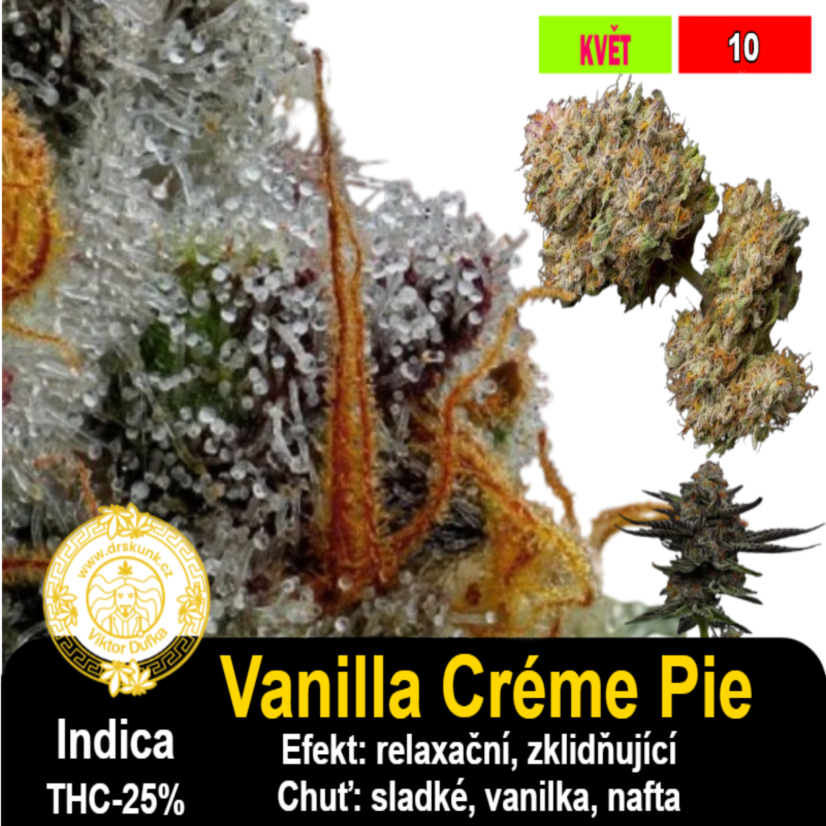 Vanilla Créme Pie / feminizovano - semena, : 5