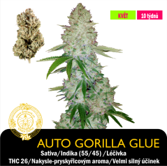 Auto Gorilla Glue /Feminizováno