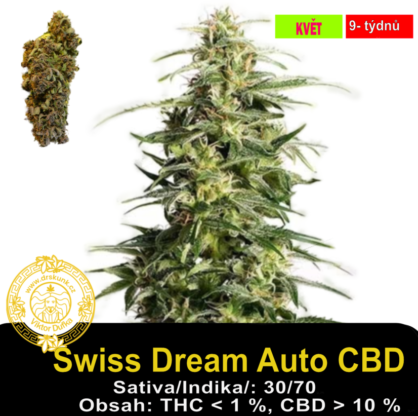 Swiss Dream Auto CBD / Feminizováno