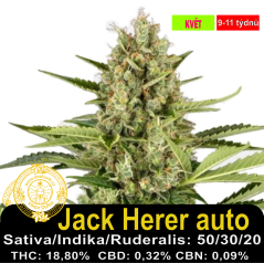 Jack Herer Auto / Feminizováno
