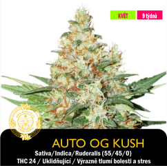 Auto Og Kush / Feminizované