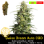Swiss Dream Auto CBD / Feminizováno