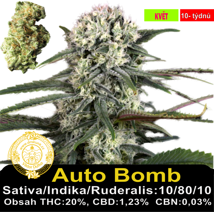 Auto Bomb / Feminizováno