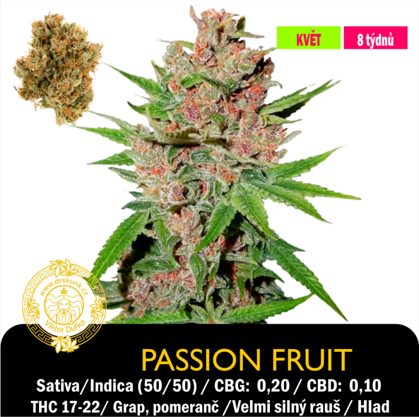 Passion Fruit / Feminizováno