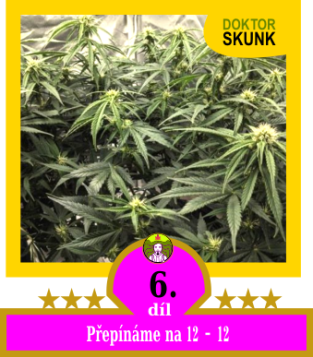 6) Přepínáme na 12-12