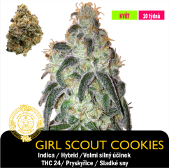 Girl Scout Cookies / Feminizováno