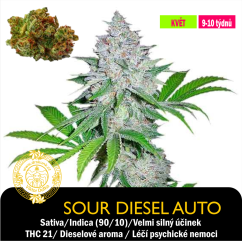 Auto Sour Diesel  / Feminizované