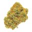 Chronic / feminizovano - semena, : 5
