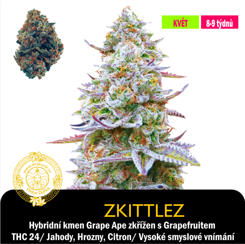 Zkittlez / Feminizováno