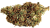 OG Kush H5CBD-HHX - Infůze