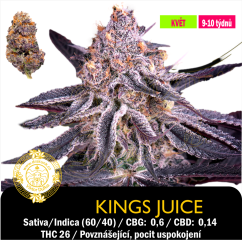 Kings Juice / Feminizováno
