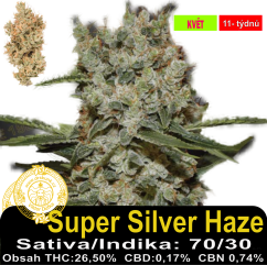 Super Silver Haze / feminizovano