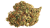 Silver Haze  H5CBD-HHX - Infůze