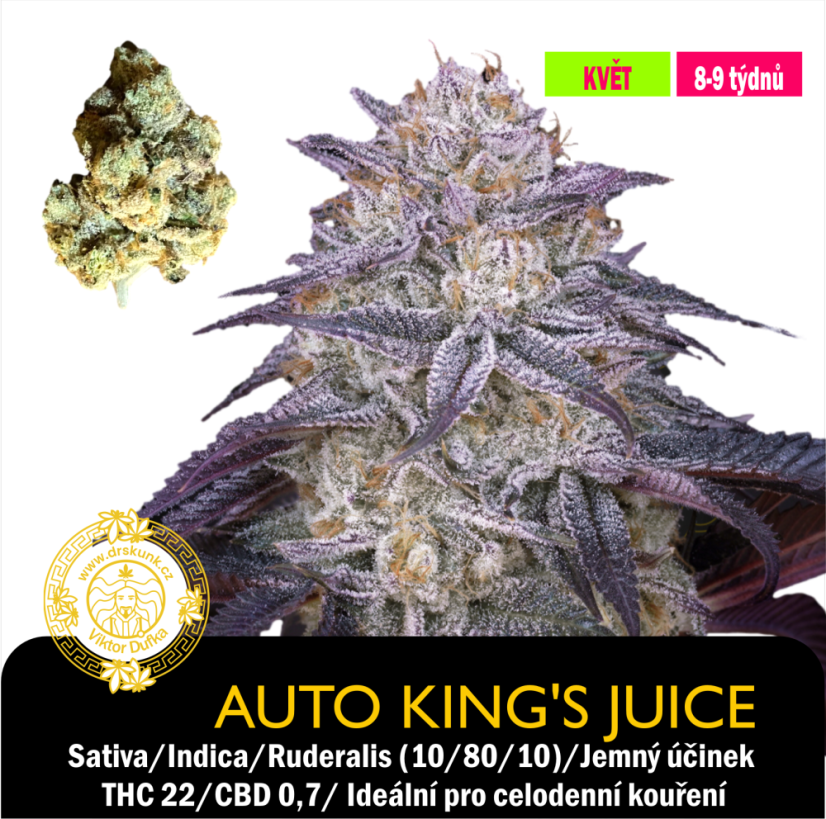 Auto King's Juice / Feminizováno