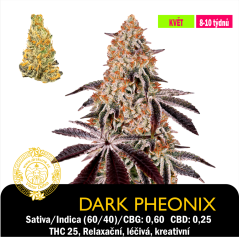 Dark Phoenix / Feminizované
