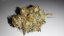 Super Lemon Haze × RS11