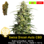 Swiss Dream Auto CBD / Feminizováno