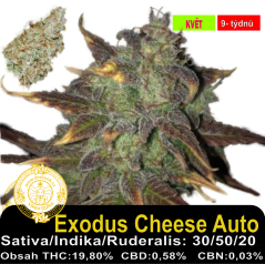 Exodus Cheese Auto / Feminizováno
