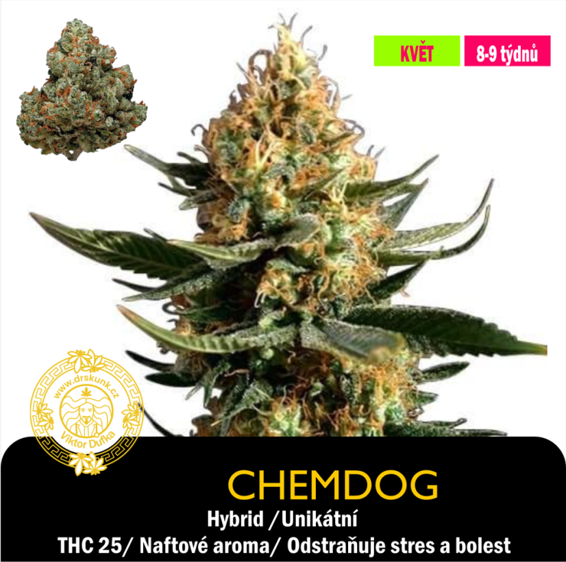 Chemdog / Feminizováno