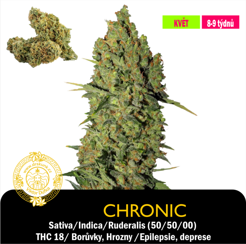 Chronic / feminizovano - semena, : 5