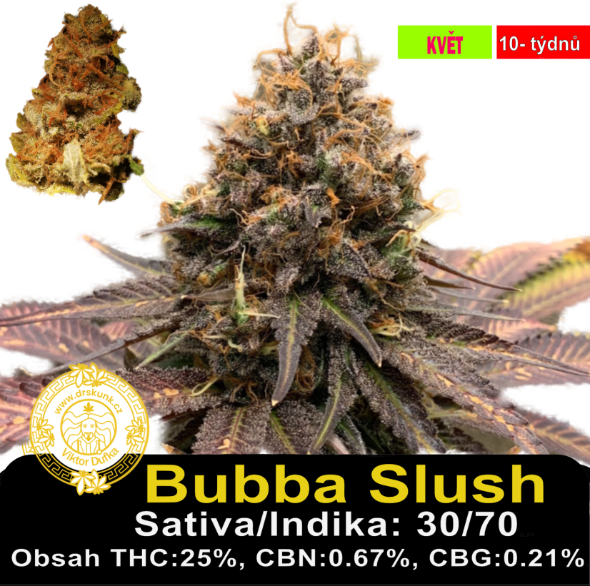 Bubba Slush / Feminizováno